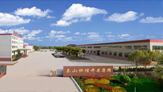 山東泰山恒信開關(guān)集團(tuán)有限公司